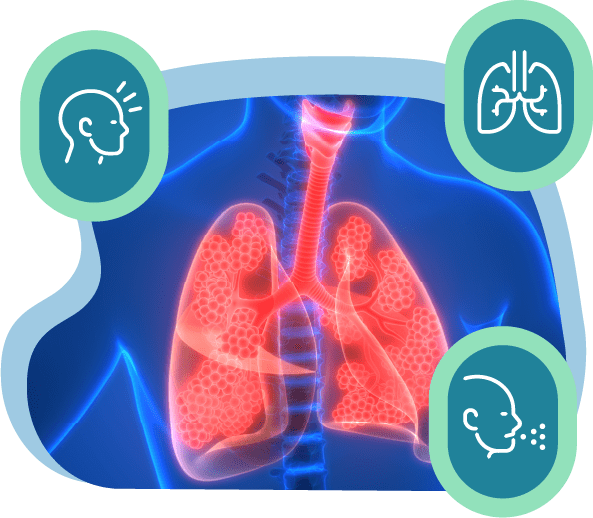 pulmones